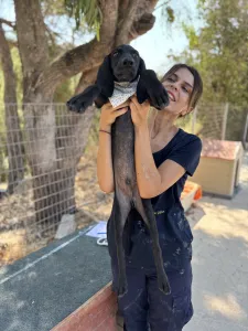 Hund Bily adoptieren