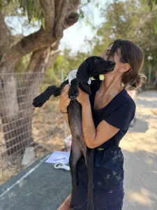 Hund Bily adoptieren