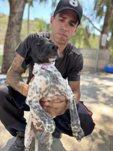 Adopt Eleni