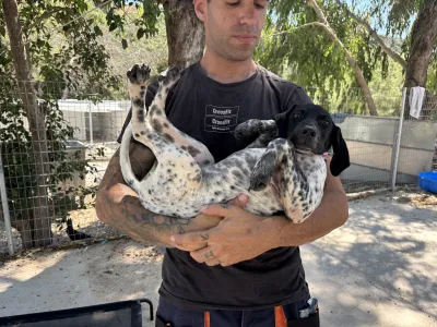 Adopt Eleni