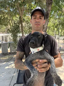 Adopt Pegi