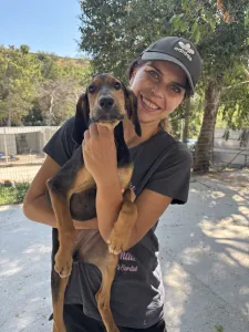 Adopt Armando