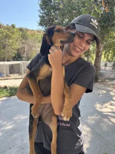 Adopt Armando