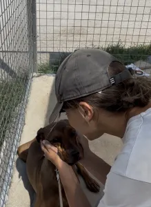 Adopt Mika