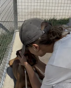 Adopt Mika