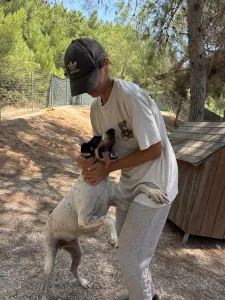 Adopt Li