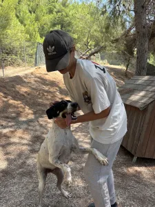 Adopt Li