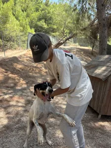 Adopt Li
