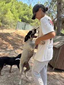 Adopt Li