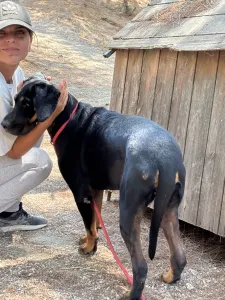 Adopt Ntora
