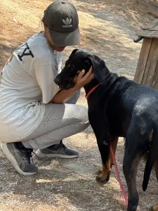 Adopt Ntora