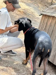 Adopt Ntora
