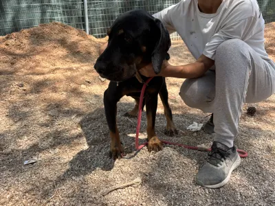 Adopt Ntora