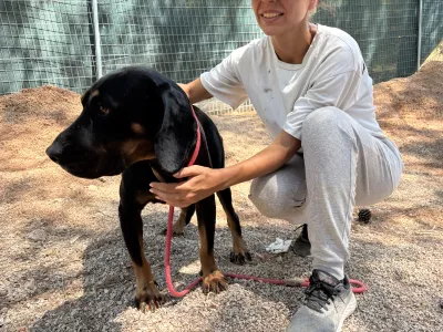 Adopt Ntora