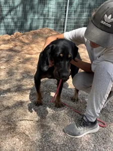 Adopt Ntora