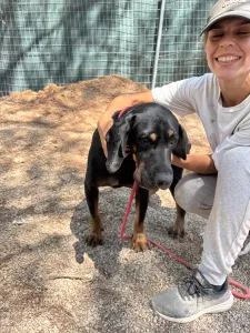 Adopt Ntora