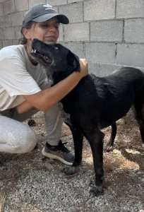 Adopt Afi