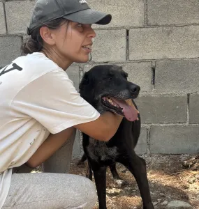 Adopt Afi