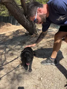 Adopt Mini