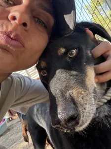 Adopt King