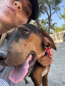 Adopt Alberto