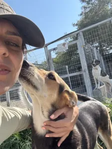 Adopt Faidra