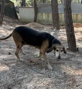 Adopt Marita