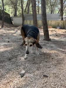 Adopt Marita
