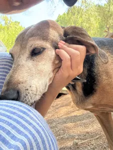 Adopt Marita