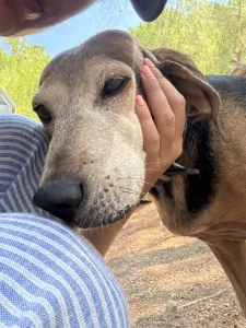 Adopt Marita