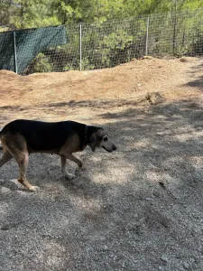 Adopt Marita