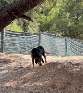 Adopt Marita