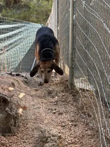 Adopt Marita
