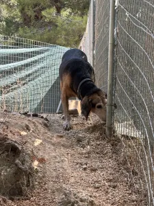 Adopt Marita