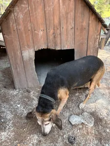 Adopt Marita