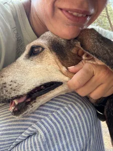 Adopt Marita
