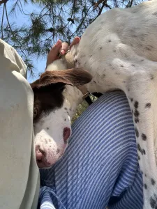 Adopt Loco