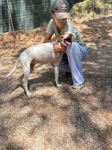 Adopt Nemo