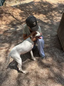 Adopt Nemo