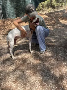Adopt Nemo