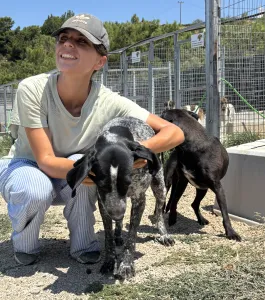 Adopt Sweet