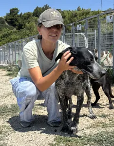 Adopt Sweet