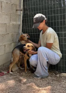 Adopt Frida and Billy