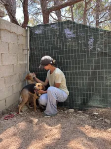 Adopt Frida and Billy