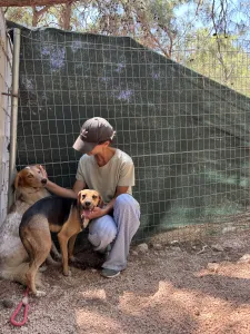 Adopt Frida and Billy