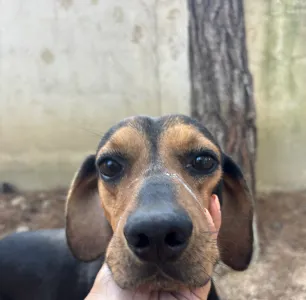 Adoption profile for Mairy