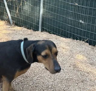 Adopt Mairy