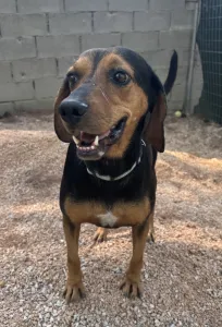 Adopt Mairy