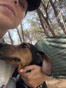 Adopt Mairy