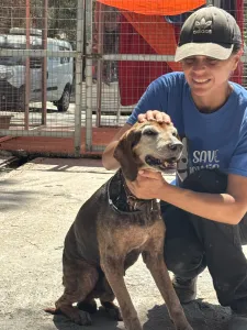 Adopt Magi